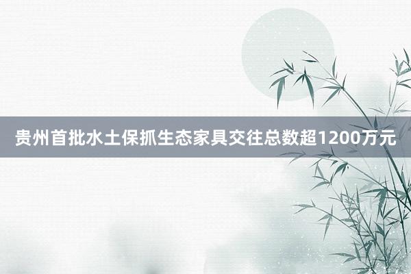贵州首批水土保抓生态家具交往总数超1200万元